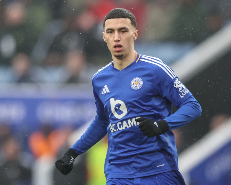 开云app-记者：水晶宫为签埃尔哈努斯提出更高报价，仍被蓝狐拒绝